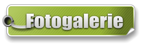 Fotogalerie