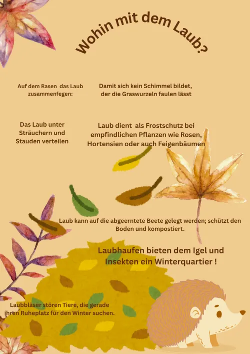 Flyer Wohin mit dem Laub?