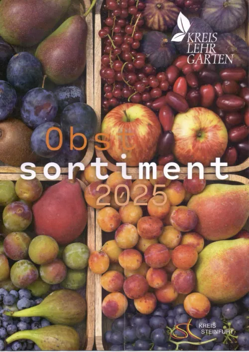 Deckblatt der Broschüre