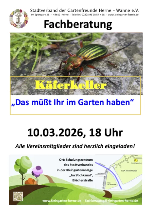 Flyer Käferkeller